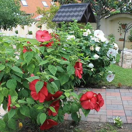 Villa Harkany Konukevi *